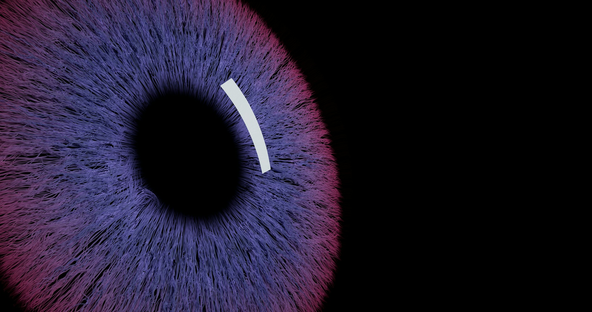 Close-up macro iris — Arizona Mobile ID article cover